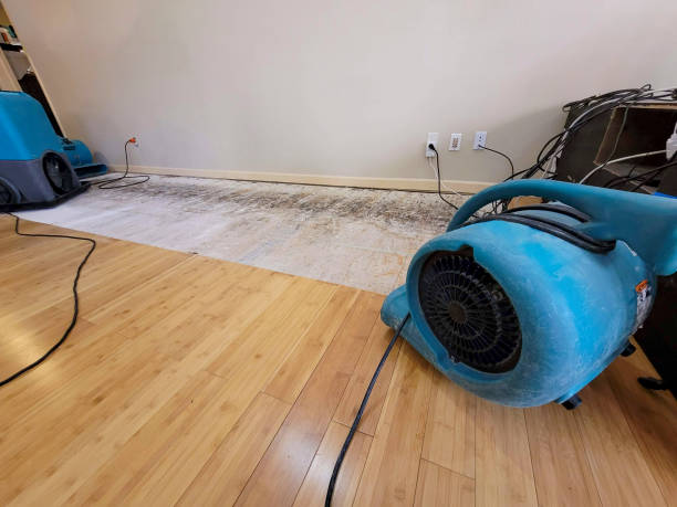 Professional Flood Damage Cleanup technician working in Farmville, NC